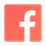 icon facebook grey